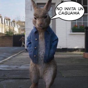 Meet your Posher, Charly